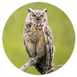 世界の人々 異なる人々の暮らしを知ろう